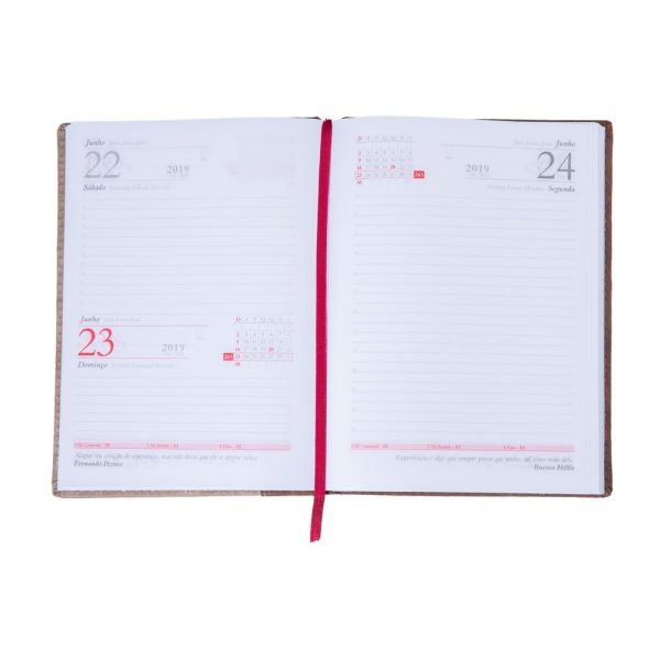 Agenda-Diaria-2019-7873d1-1532018952