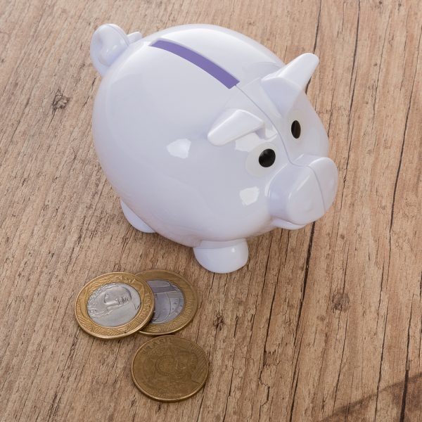 Cofre-Plastico-Porquinho-5077d1-1488553574